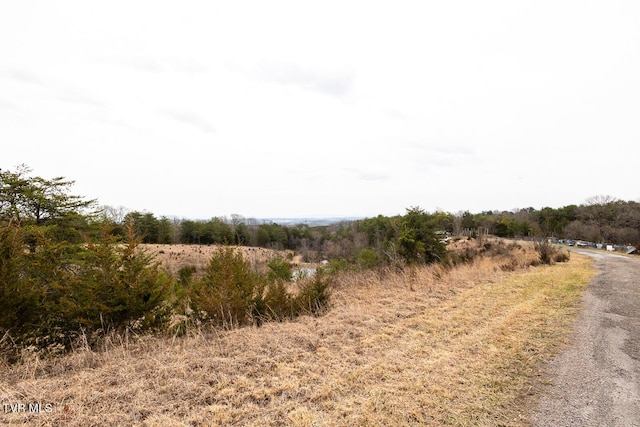 view of road