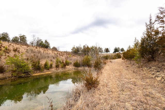 view of local wilderness with a water view