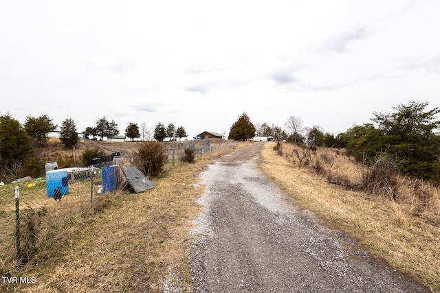 view of road with driveway