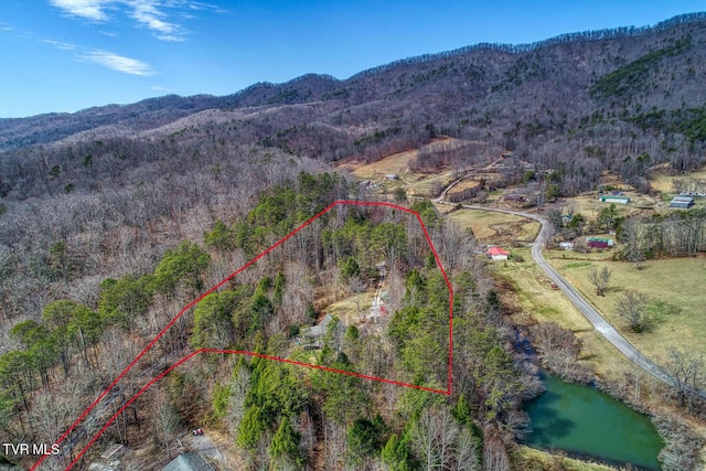 drone / aerial view featuring a mountain view and a view of trees