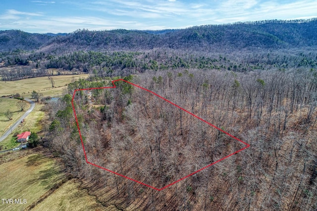 bird's eye view featuring a forest view and a mountain view