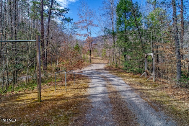 view of road featuring a forest view