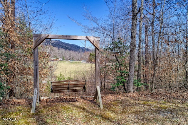 view of yard featuring a mountain view