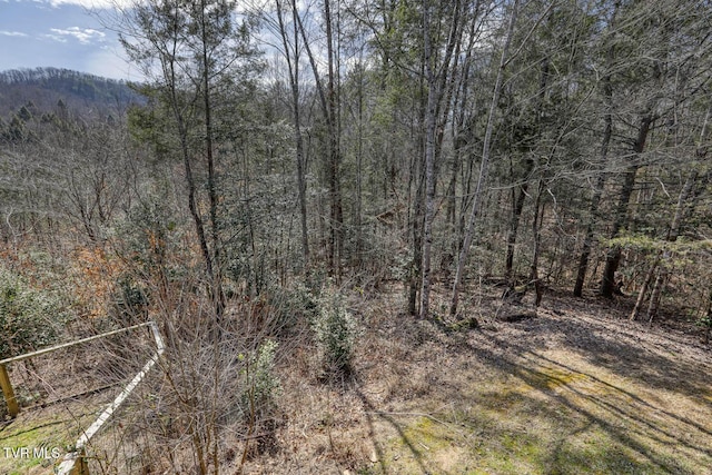 view of local wilderness featuring a wooded view