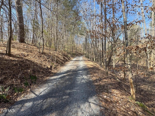 view of road