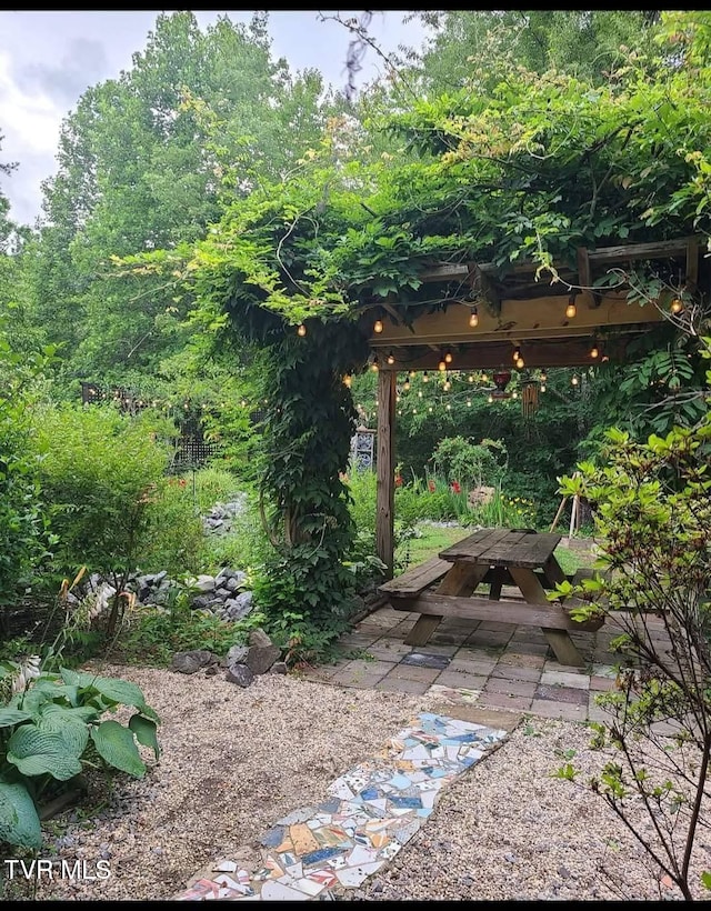 view of yard with a patio