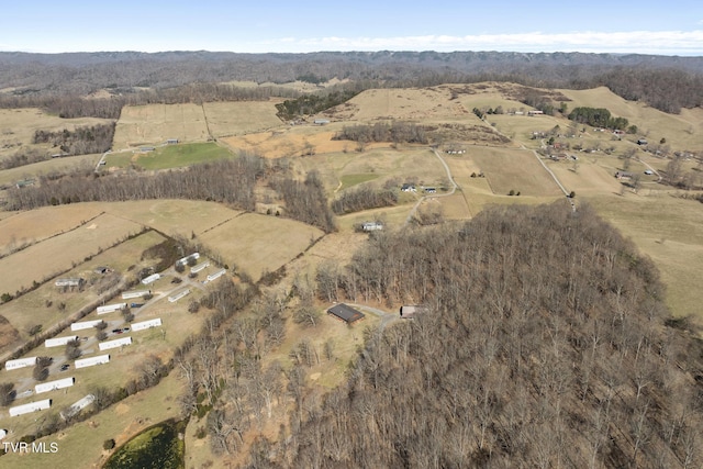 266 Byington Rd, Rogersville, TN 37857 - photo 52