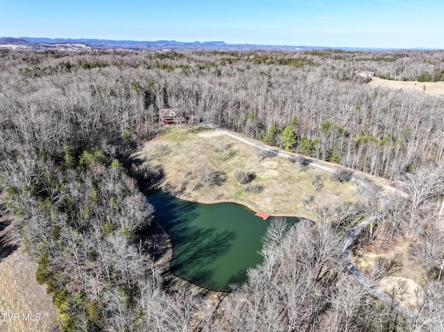 drone / aerial view with a water view and a view of trees