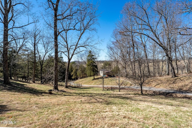 view of yard featuring a forest view