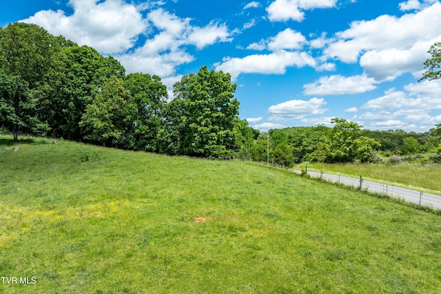 472 Harmony Rd, Jonesborough, TN 37659 - view of grassy yard featuring a rural view and a forest view