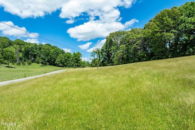 472 Harmony Rd, Jonesborough, TN 37659 - view of yard