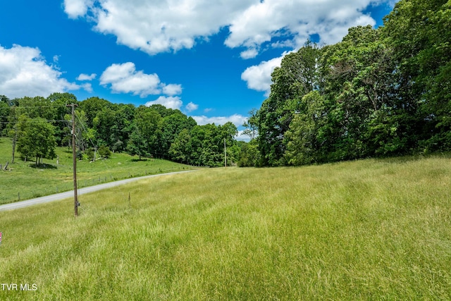 472 Harmony Rd, Jonesborough, TN 37659 - view of yard with a view of rural / pastoral area