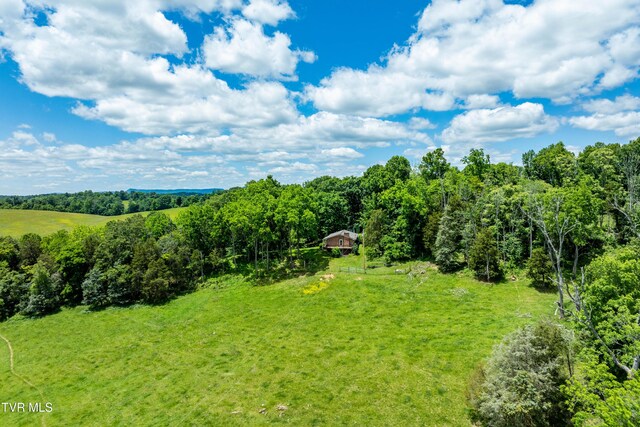 472 Harmony Rd, Jonesborough, TN 37659 - view of green lawn with a view of trees