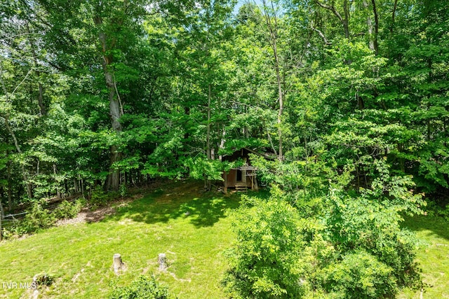 472 Harmony Rd, Jonesborough, TN 37659 - view of grassy yard featuring a wooded view