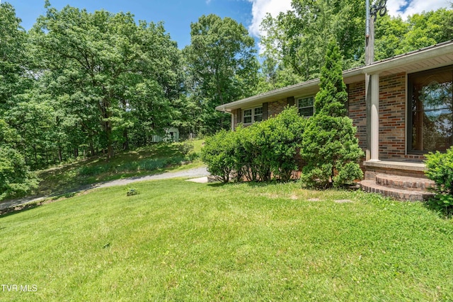 472 Harmony Rd, Jonesborough, TN 37659 - view of green lawn