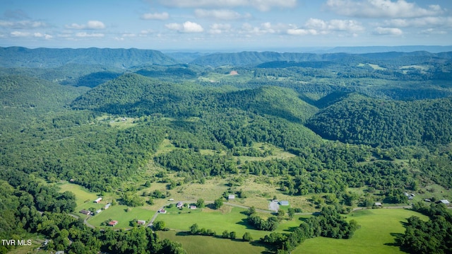 birds eye view of property with a forest view and a mountain view