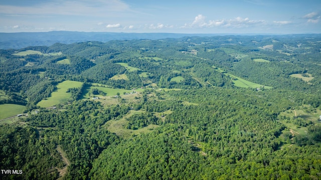 aerial view featuring a mountain view and a view of trees