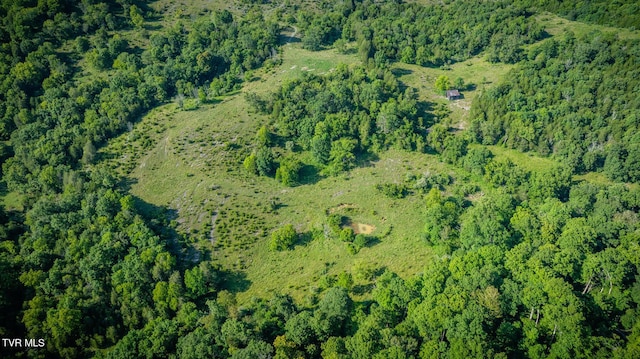 bird's eye view with a wooded view