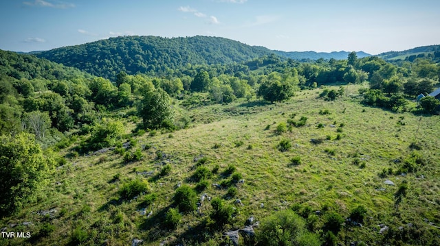 mountain view featuring a forest view