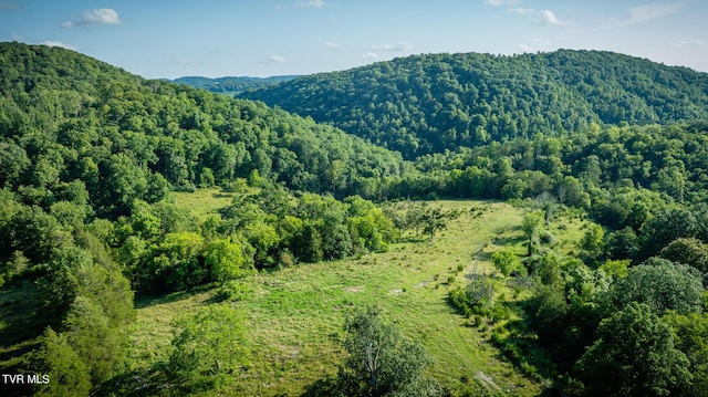 property view of mountains with a view of trees