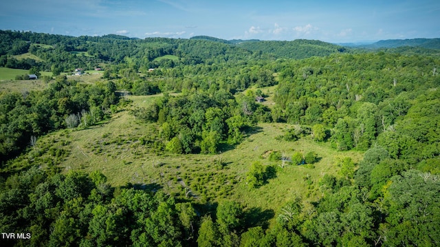 birds eye view of property featuring a forest view and a mountain view