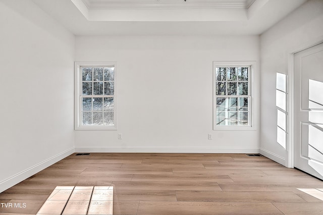 unfurnished room featuring a tray ceiling, a healthy amount of sunlight, and wood finished floors