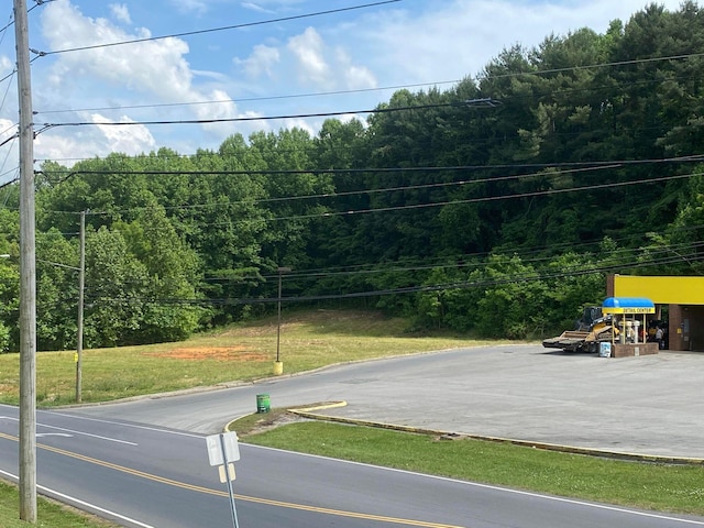 00 Erwin Hwy, Greeneville, TN 37745 - photo 9