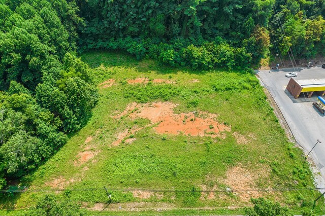 00 Erwin Hwy, Greeneville, TN 37745 - photo 19