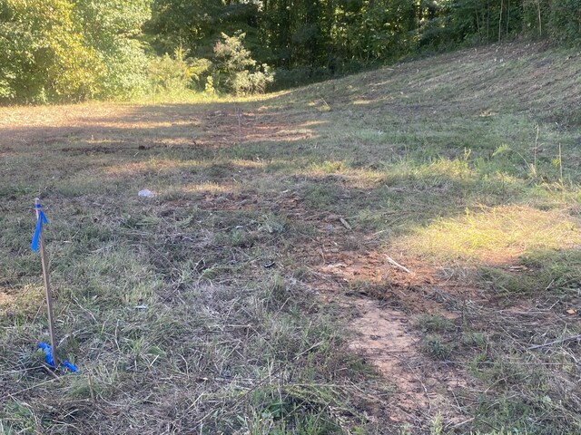 00 Erwin Hwy, Greeneville, TN 37745 - photo 22