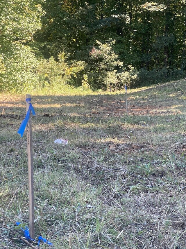 00 Erwin Hwy, Greeneville, TN 37745 - photo 23
