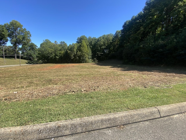 00 Erwin Hwy, Greeneville, TN 37745 - photo 30