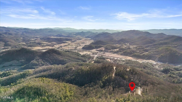 property view of mountains featuring a view of trees