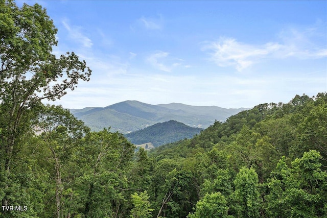 4014 Callalantee Dr, Mountain City, TN 37683 - photo 54