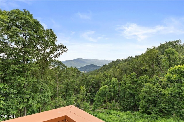 4014 Callalantee Dr, Mountain City, TN 37683 - photo 55