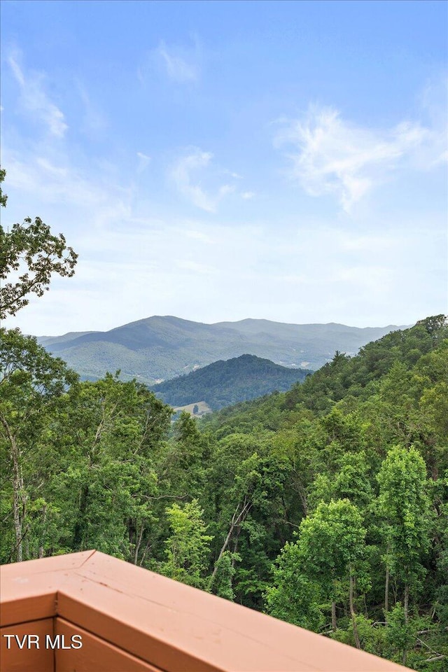 4014 Callalantee Dr, Mountain City, TN 37683 - photo 56