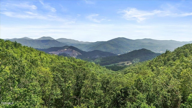 4014 Callalantee Dr, Mountain City, TN 37683 - photo 8