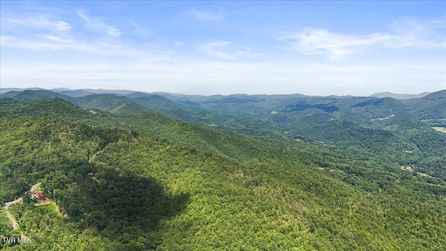 4014 Callalantee Dr, Mountain City, TN 37683 - photo 64