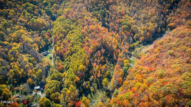 119 Hughes Hollow Rd, Roan Mountain, TN 37687