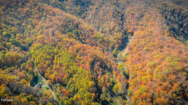 119 Hughes Hollow Rd, Roan Mountain, TN 37687