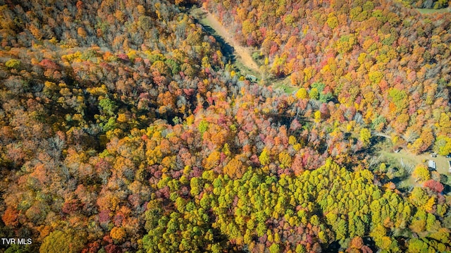 119 Hughes Hollow Rd, Roan Mountain, TN 37687
