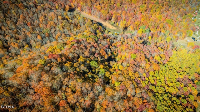 119 Hughes Hollow Rd, Roan Mountain, TN 37687
