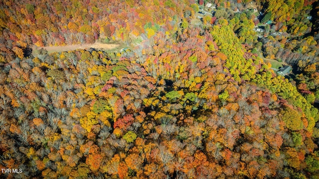 119 Hughes Hollow Rd, Roan Mountain, TN 37687