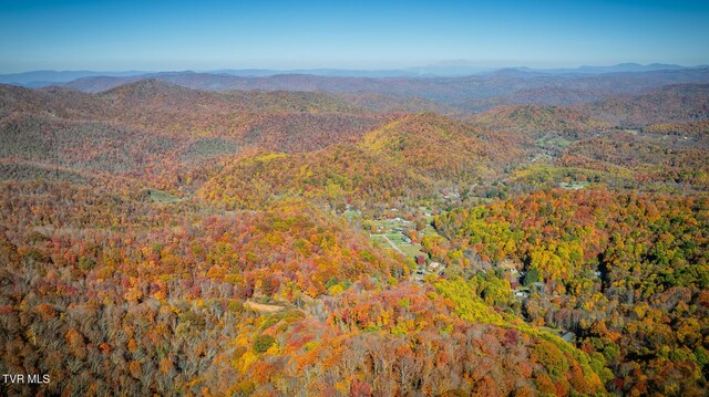 119 Hughes Hollow Rd, Roan Mountain, TN 37687