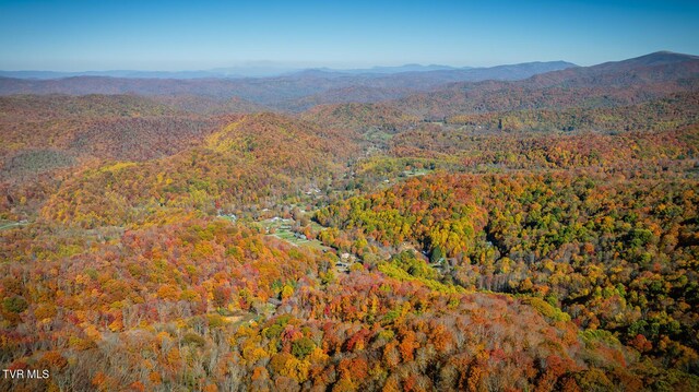 119 Hughes Hollow Rd, Roan Mountain, TN 37687