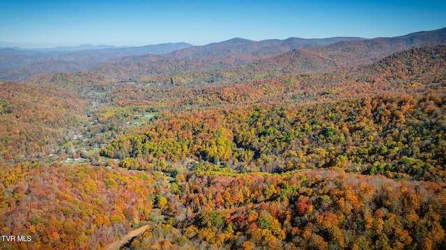 119 Hughes Hollow Rd, Roan Mountain, TN 37687
