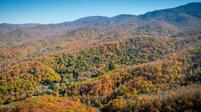 119 Hughes Hollow Rd, Roan Mountain, TN 37687