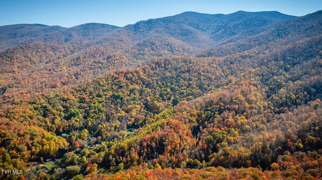 119 Hughes Hollow Rd, Roan Mountain, TN 37687