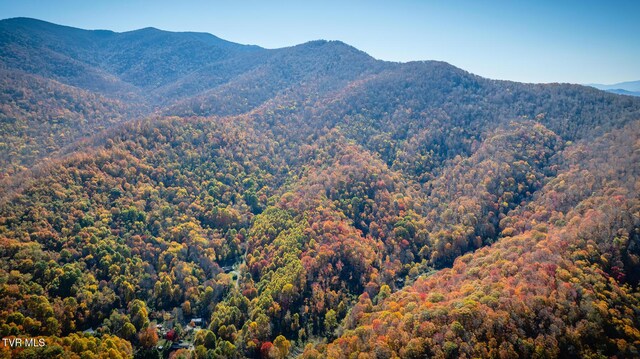 119 Hughes Hollow Rd, Roan Mountain, TN 37687