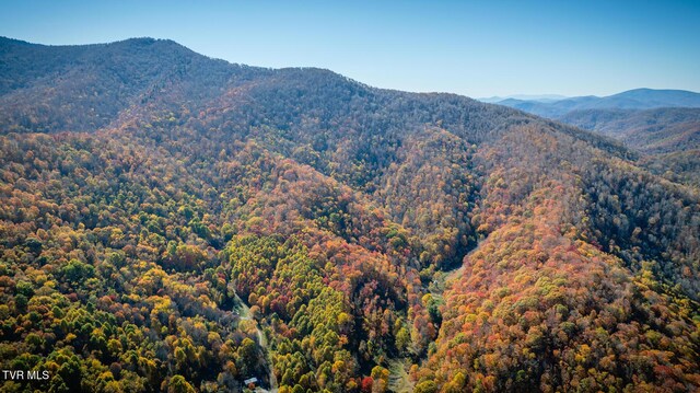 119 Hughes Hollow Rd, Roan Mountain, TN 37687