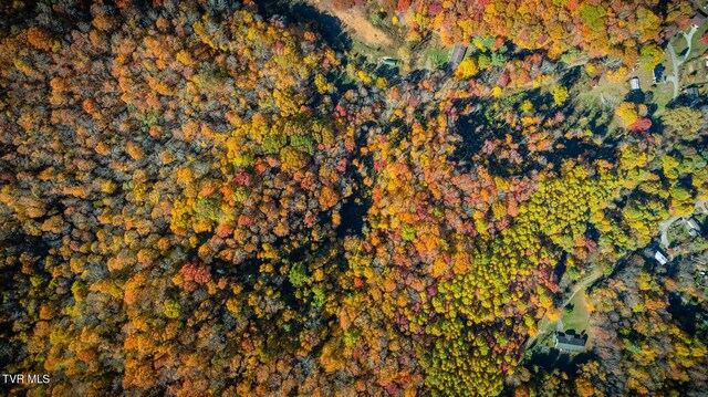 119 Hughes Hollow Rd, Roan Mountain, TN 37687